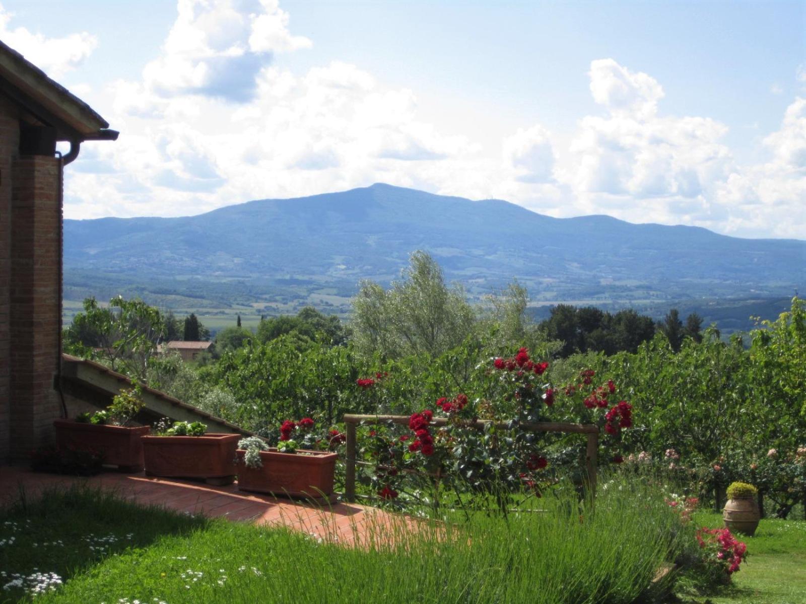 Agriturismo Cornieto Monteleone dʼOrvieto Buitenkant foto