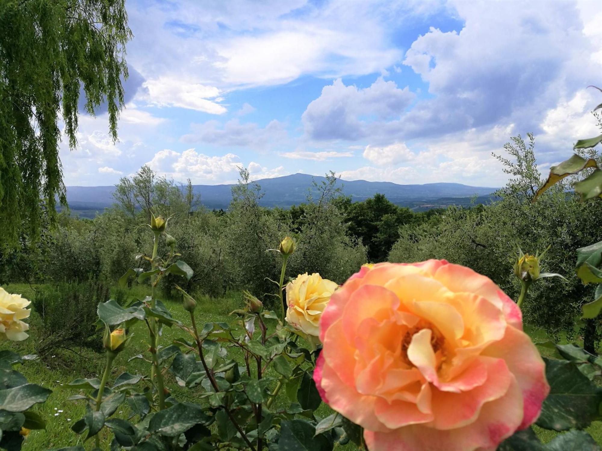 Agriturismo Cornieto Monteleone dʼOrvieto Buitenkant foto