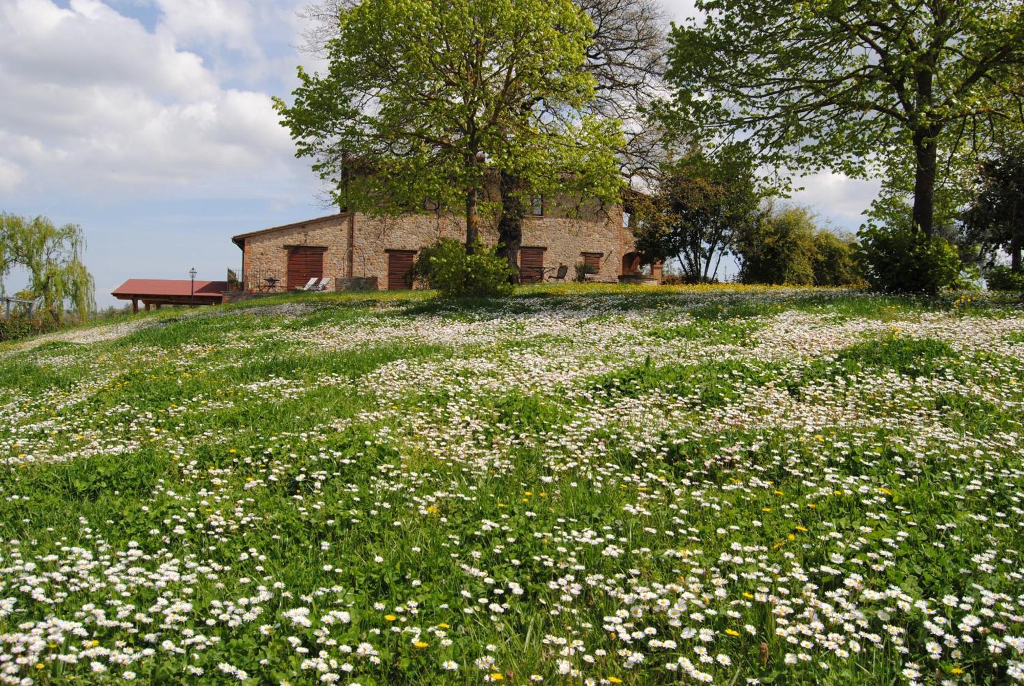 Agriturismo Cornieto Monteleone dʼOrvieto Buitenkant foto