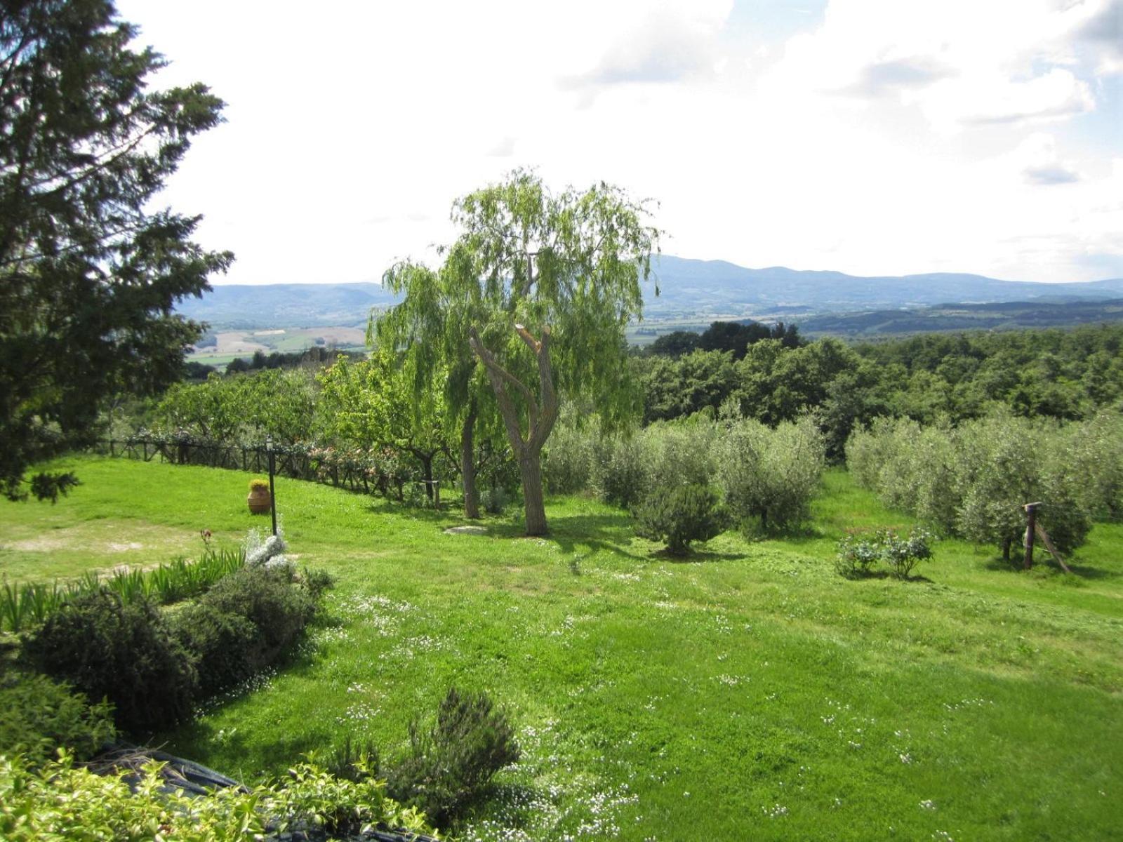 Agriturismo Cornieto Monteleone dʼOrvieto Buitenkant foto