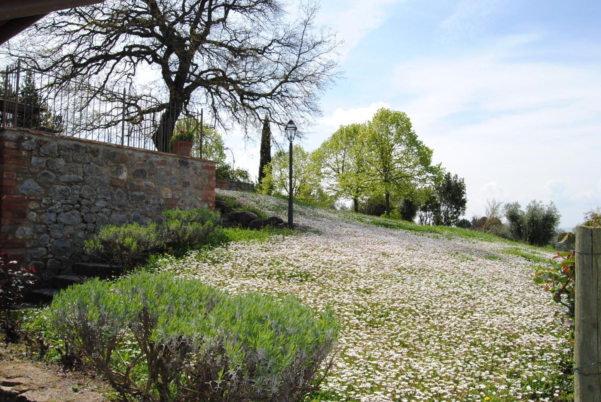 Agriturismo Cornieto Monteleone dʼOrvieto Buitenkant foto