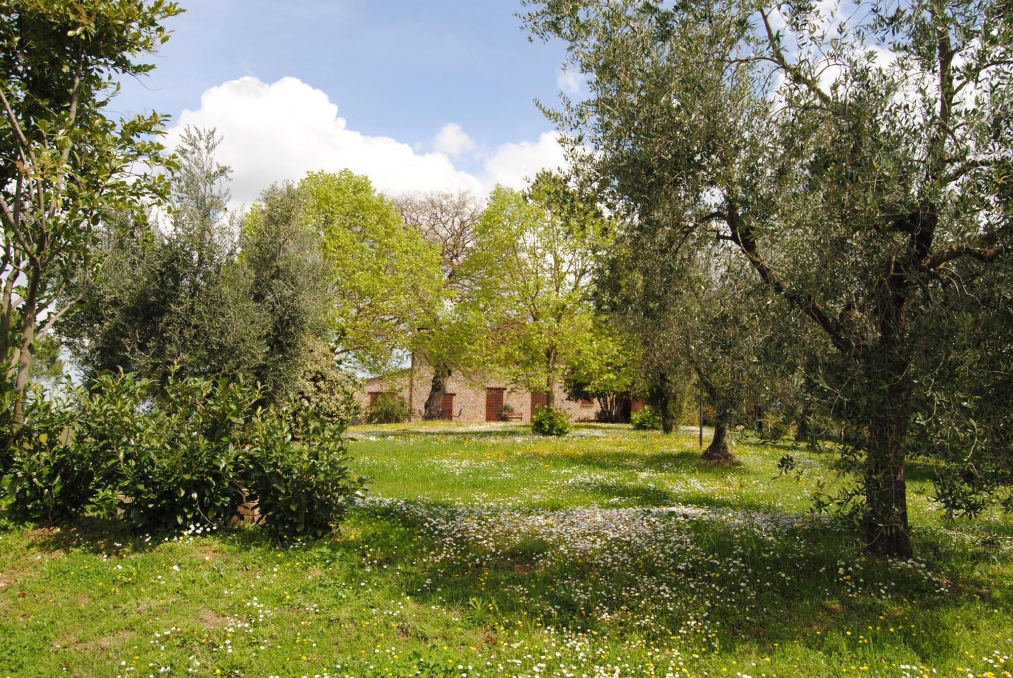 Agriturismo Cornieto Monteleone dʼOrvieto Buitenkant foto